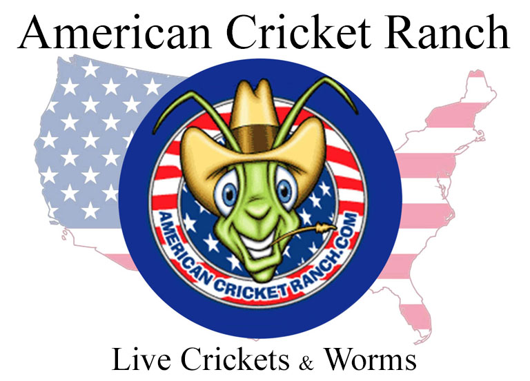 American Cricket Ranch